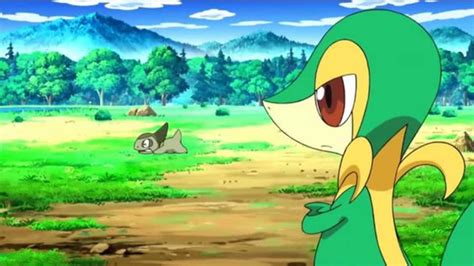 adventure snivy|adventure snivy hated his work.